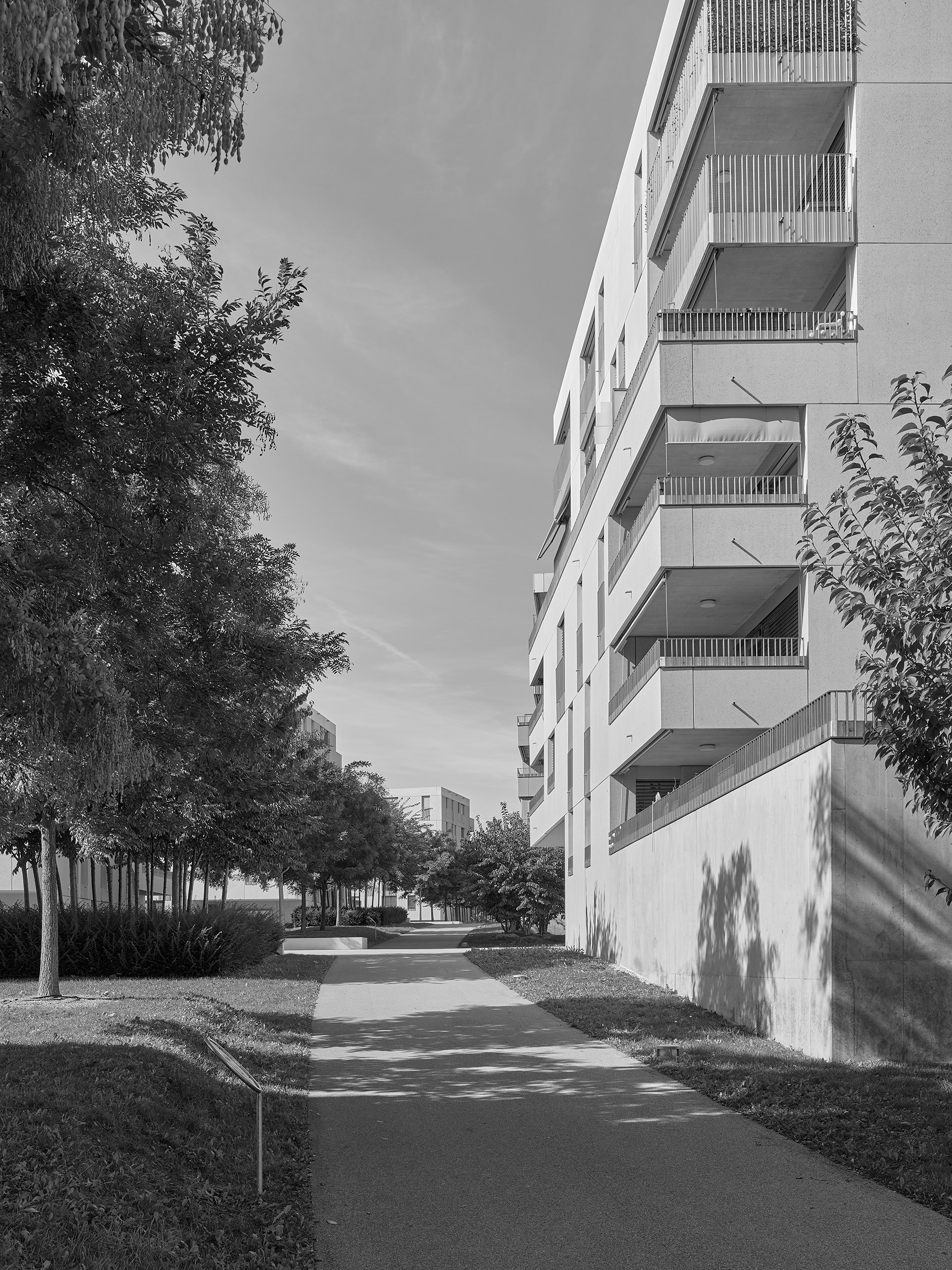 Quartier de logements en Jonchets, Bussigny-près-Lausanne, 2015